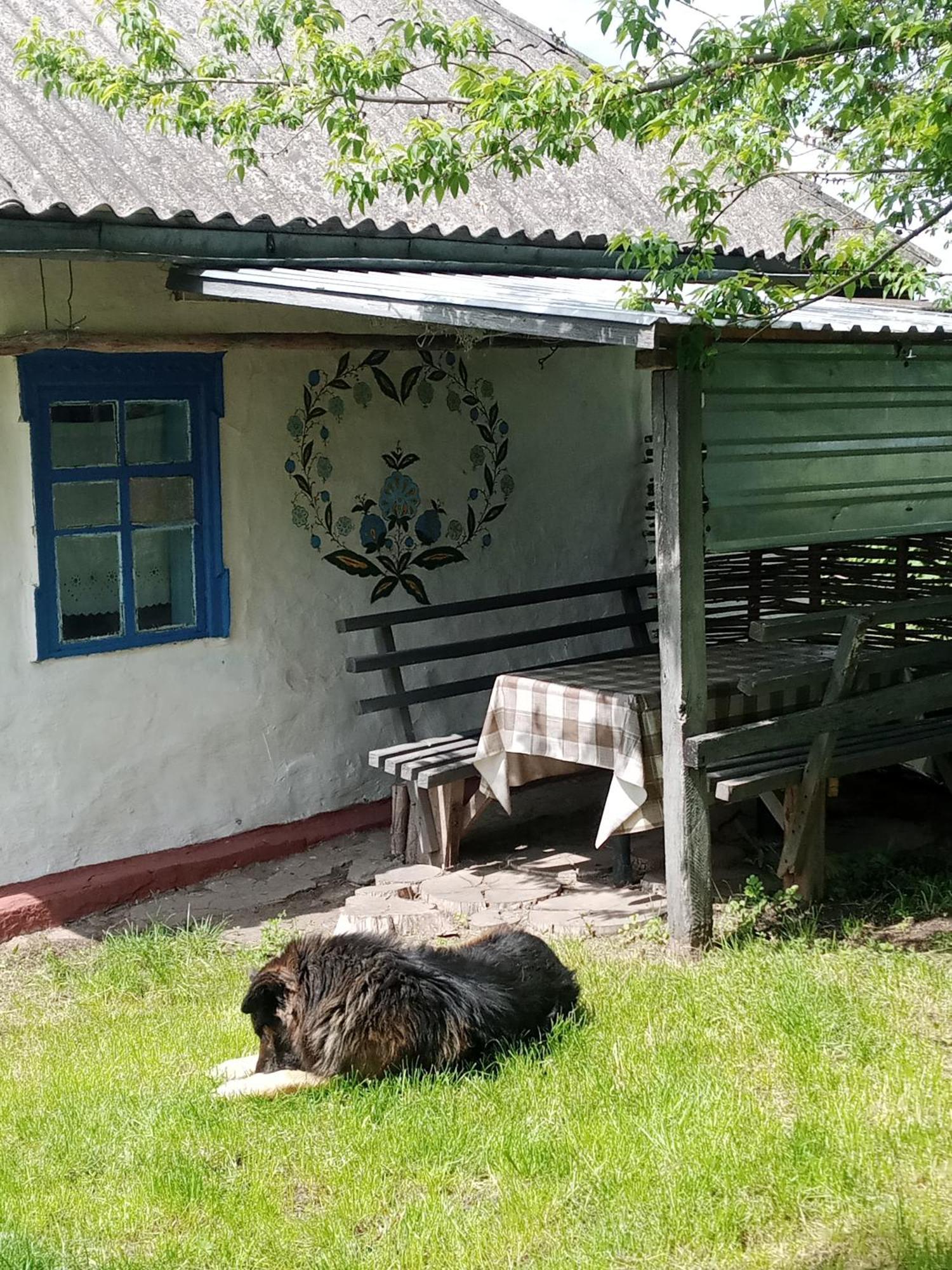 Дибинецькі Карпати Dybintsy Zewnętrze zdjęcie