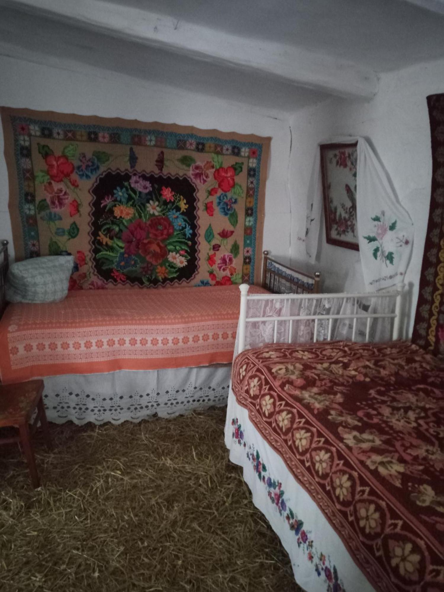 Дибинецькі Карпати Dybintsy Zewnętrze zdjęcie
